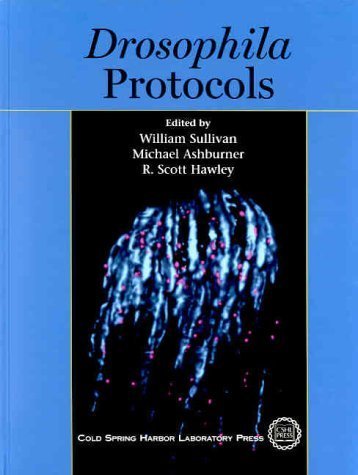Drosophila Protocols (9780879695866) by Sullivan, William; Hawley, R. Scott
