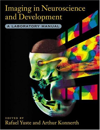 9780879696894: Imaging in Neuroscience and Development: A Laboratory Manual