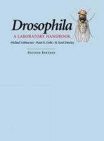 Stock image for Drosophila a Laboratory Handbook for sale by Webbooks, Wigtown