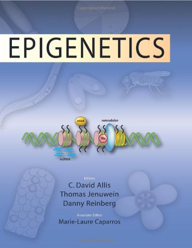 Stock image for Epigenetics for sale by Goodwill