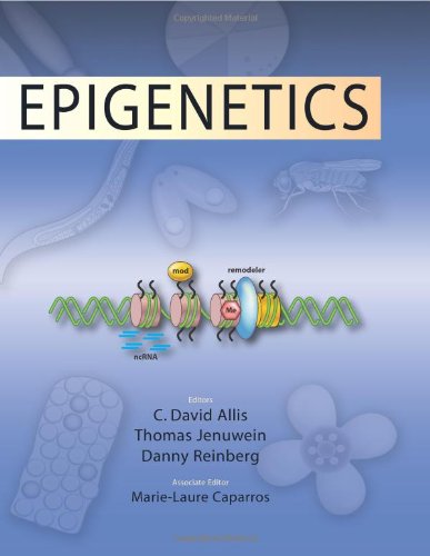 Stock image for Epigenetics for sale by Front Cover Books