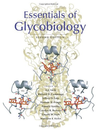 9780879697709: Essentials of Glycobiology