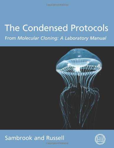 9780879697716: The Condensed Protocols from "Molecular Cloning: A Laboratory Manual"
