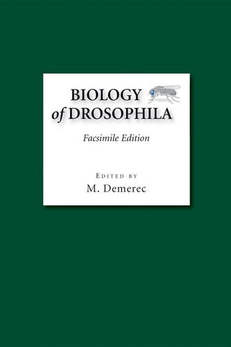Stock image for Biology of Drosophila for sale by BooksRun