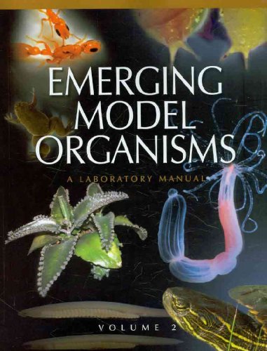 Stock image for Emerging Model Organisms: A Laboratory Manual, Volume 2 for sale by Bellwetherbooks