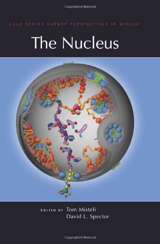 Stock image for The Nucleus for sale by dsmbooks