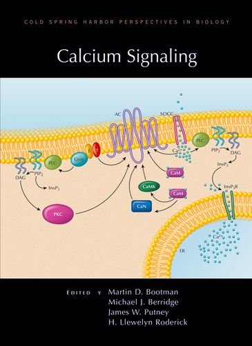 Beispielbild fr Calcium Signaling (Cold Spring Harbor Perspectives in Biology) zum Verkauf von dsmbooks