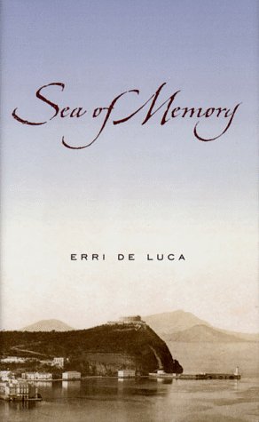 Beispielbild fr Sea of Memory: A Novel zum Verkauf von -OnTimeBooks-