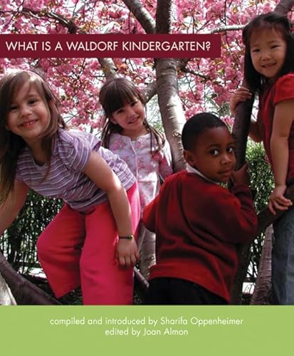 Beispielbild fr What Is a Waldorf Kindergarten? zum Verkauf von Better World Books