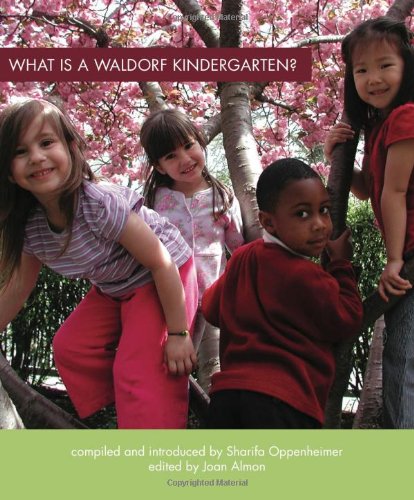 9780880105767: What Is a Waldorf Kindergarten?