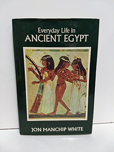 Imagen de archivo de Everyday Life in Ancient Egypt a la venta por Abacus Bookshop