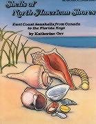 Stock image for Shells North American Shores for sale by ThriftBooks-Dallas