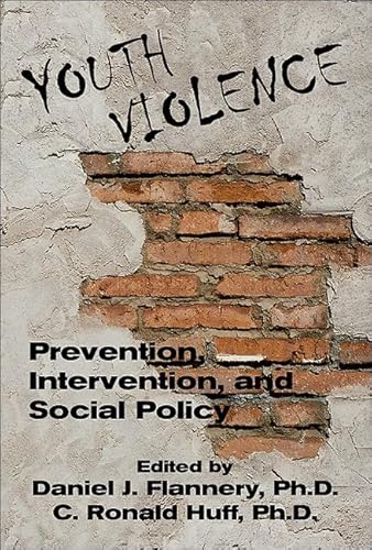 Stock image for Youth Violence: Prevention, Intervention, and Social Policy (Clinical Practice) for sale by Half Price Books Inc.