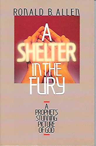 Beispielbild fr A Shelter in the Fury: A Prophet's Stunning Picture of God zum Verkauf von Gulf Coast Books