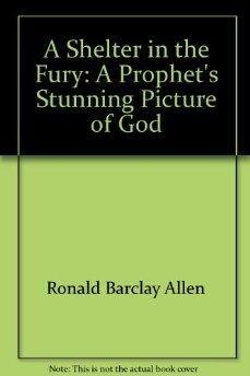 Imagen de archivo de A Shelter in the Fury: A Prophet's Stunning Picture of God a la venta por Gulf Coast Books