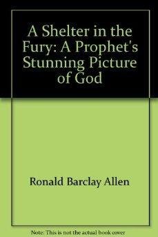 Stock image for A Shelter in the Fury: A Prophet's Stunning Picture of God for sale by Gulf Coast Books