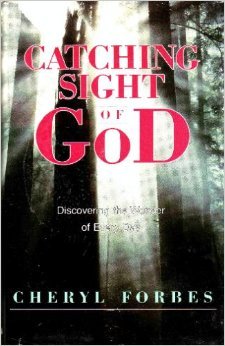 Beispielbild fr Catching sight of god: Discovering the wonder of every day zum Verkauf von Wonder Book