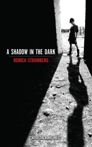 9780880927512: Title: A Shadow in the Dark