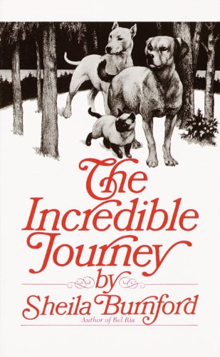 Imagen de archivo de The Incredible Journey a la venta por Better World Books
