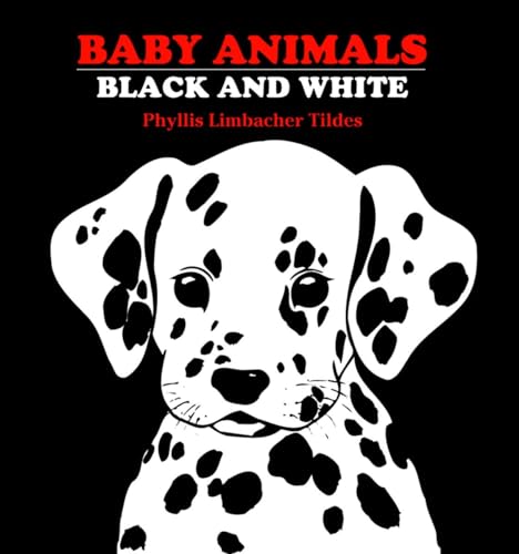 Stock image for Baby Animals Black and White for sale by WorldofBooks