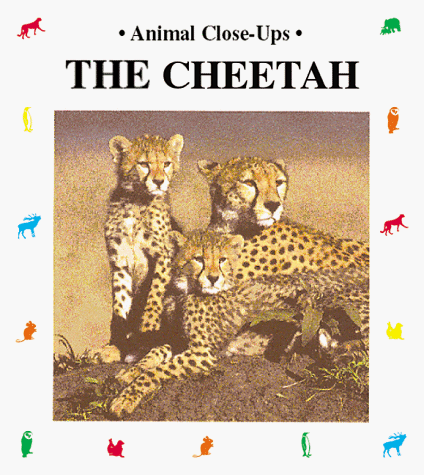 Beispielbild fr The Cheetah (Animal Close-Ups) zum Verkauf von SecondSale
