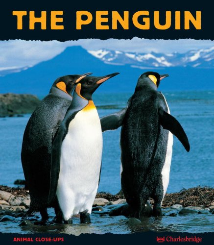 9780881064261: The Penguin (Animal Close-Ups)