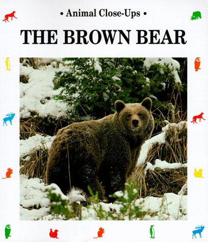 Stock image for The Brown Bear for sale by ThriftBooks-Atlanta