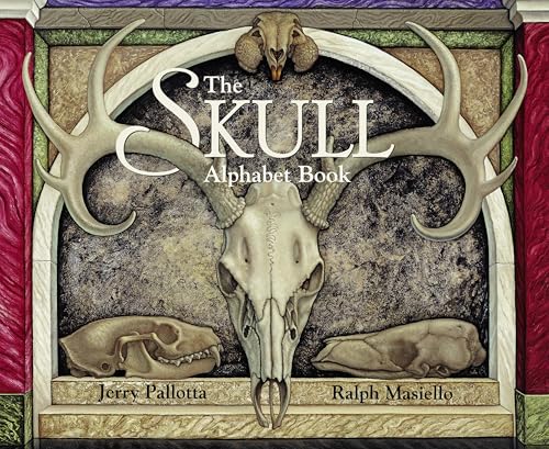 Immagine stock per The Skull Alphabet Book
