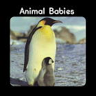 Beispielbild fr Animal Babies (Little Nature Books) zum Verkauf von Red's Corner LLC