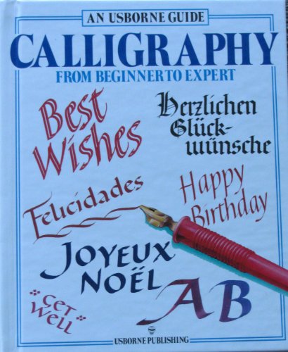 Calligraphy (Usborne Guides) (9780881104325) by Evans, C.