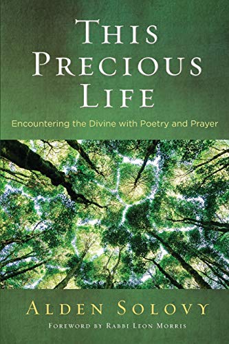 Stock image for This Precious Life: Encountering the Divine with Poetry and Prayer for sale by Half Price Books Inc.