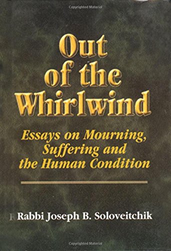 Stock image for Out of the Whirlwind: Essays on Mourning, Suffering and the Human Condition (Meotzar Horav) (MeOtzar HoRav, 3) for sale by Irish Booksellers