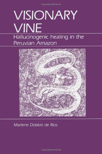 Imagen de archivo de Visionary Vine: Hallucinogenic Healing in the Peruvian Amazon a la venta por Michael Patrick McCarty, Bookseller