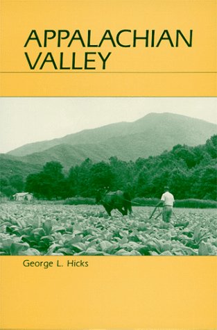 Stock image for APPALACHIAN VALLEY for sale by Karen Wickliff - Books
