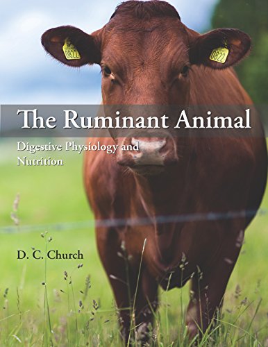 9780881337402: The Ruminant Animal: Digestive Physiology and Nutrition