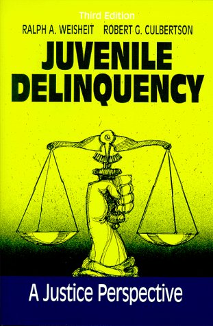 9780881338157: Juvenile Delinquency: A Justice Perspective
