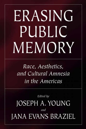 Imagen de archivo de Erasing Public Memory: Race, Aesthetics, and Cultural Amnesia in the Americas (Voices of the African Diaspora) a la venta por Big River Books