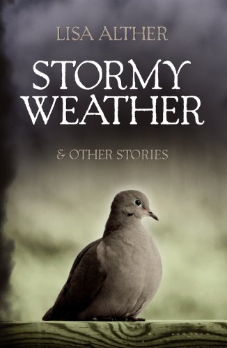 Beispielbild fr Stormy Weather and Other Stories zum Verkauf von Better World Books