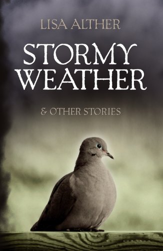 9780881463866: Stormy Weather & Other Stories