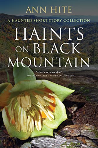 Imagen de archivo de Haints on Black Mountain : A Haunted Short Story Collection a la venta por Better World Books