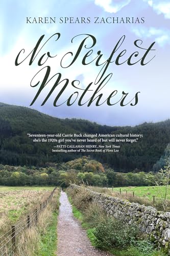Stock image for No Perfect Mothers for sale by GreatBookPrices