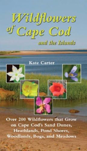 Stock image for Wildflowers of Cape Cod and the Islands : 206 Wildflowers That Grow on Cape Cod's Sand Dunes, Heathlands, Pond, Woodlands, Bogs and Meadows for sale by Better World Books