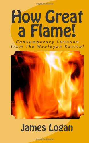 Stock image for How Great a Flame!: Contemporary Lessons from The Wesleyan Revival for sale by ThriftBooks-Atlanta