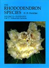 Beispielbild fr The Rhododendron Species: Elepidotes (Arboreum-Lactaeum) zum Verkauf von Flying Danny Books