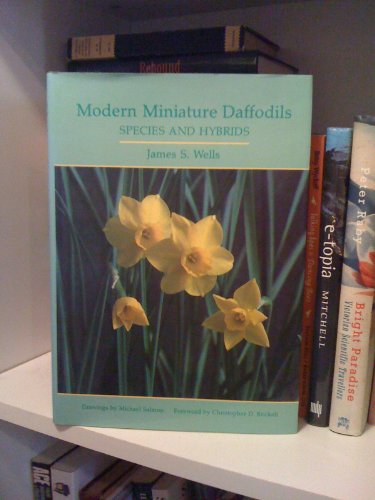 9780881921182: Modern Miniature Daffodils: Species and Hybrids