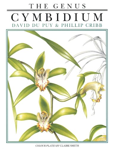 Stock image for Genus Cymbidium for sale by Books Unplugged