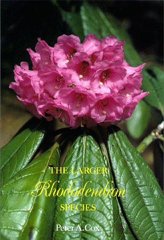 Beispielbild fr Larger Rhododendron Species zum Verkauf von ThriftBooks-Atlanta