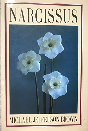 Narcissus