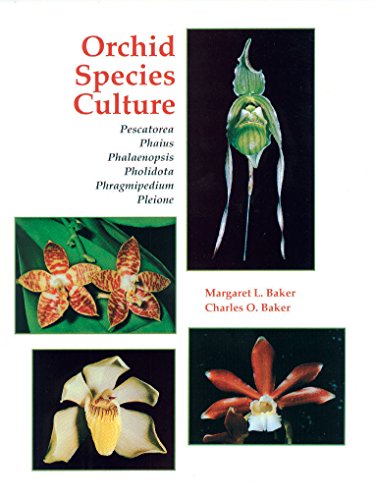 Beispielbild fr Orchid Species Culture: Pescatorea, Phaius, Phalaenopsis, Pholidota, Phragmipedium, Pleione zum Verkauf von M & M Books