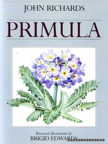 Beispielbild fr Primula zum Verkauf von Better World Books